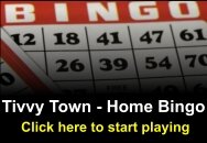 Tivvy Home Bingo