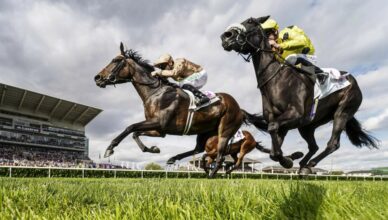 Taruhan pada Perlombaan Balap Kuda